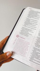 Biblia Devocional De La Mujer Conforme Al Coraz N De Dios Rvr