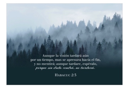 Cuadro Decorativo – Habacuc 2:3 Porque sin duda vendrá, y no tardará